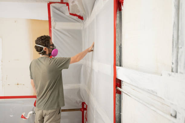 Best Mold Removal for HVAC Installations  in USA